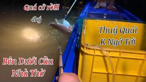 Con Nước Cạn Bên Dưới Cầu Nhà T.H.Ờ Nơi Thuỷ Quái Ẩn Mình | Kích Cá Miền Tây | Catch Fish