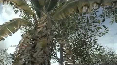 COD7 Black Ops, Jungle, 360 Random Grenade Kill