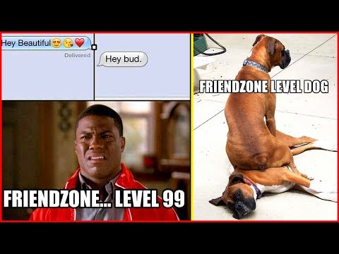 hillarious-memes-only-for-friend-zone-😂