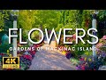 The most beautiful flowers with peaceful music for relaxation  mackinac island garden scenes 4k