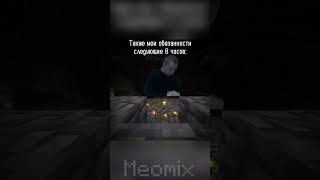 распределение обязанностей | #games #meme #mine #minecraft #minecraftmemes #бедрок #пе #мелстрой