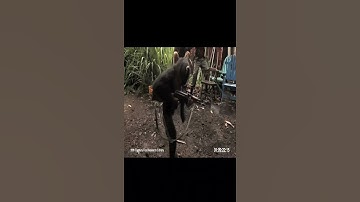 Monkey With AK47 !