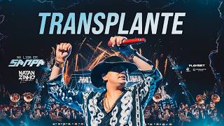 Natanzinho Lima - Transplante - DVD Na Liga Em Sampa