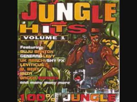 クラブ+ダンス (CD)Jungle Hits 1 クラブ+ダンス (CD)Jungle Hits 1 Amazon.co.jp: Jungle Hits