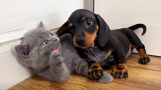 Do You Love Me?