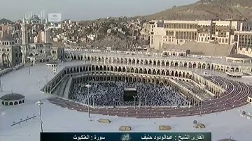 سورة العنكبوت AL-Ankabout - عبد الودود حنيف  Saudi Quran HD