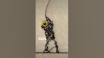 This artist’s computer generated loop is unbelievable! #shorts #art #javascript #embroidery