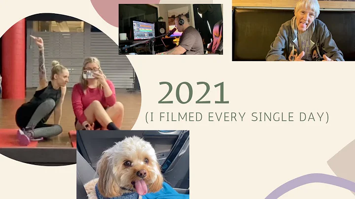 Every Single Day of 2021  One Second Every Day  Kr...