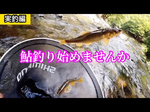 アユ釣りがわかる本 友釣りを中心にアユの釣り方を完全解説! アユ釣りがわかる本 友釣りを中心にアユの釣り方を完全解説