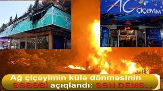 Ağ çiçəyimin külə dönməsinin səbəbi açıqlandı !sən demə