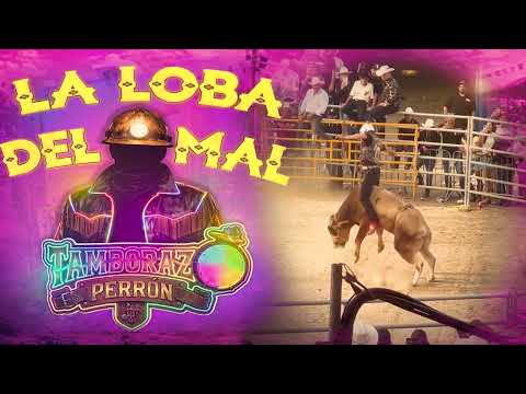 Tamborazo Perrón - La Loba del mal [ Audio Oficial ] MusiCanal