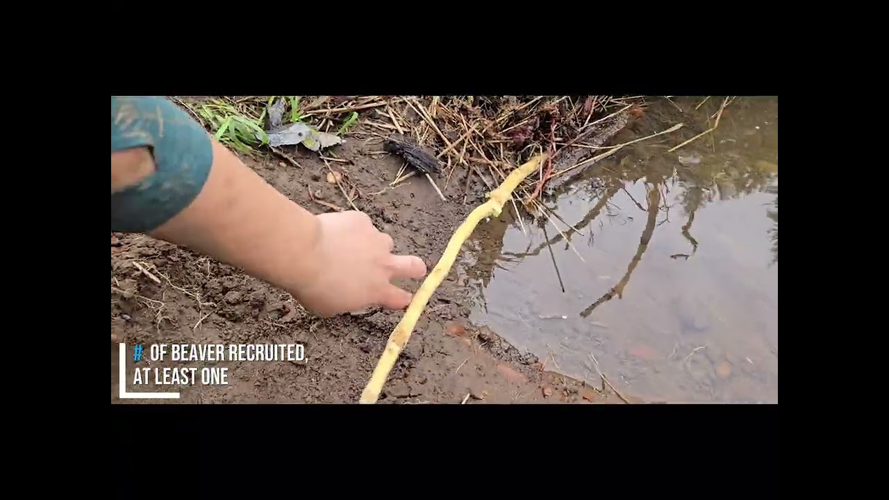 LCFEG 2025 Annual Report