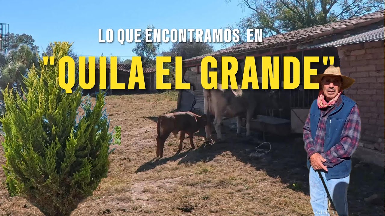 EN QUILA ENCONTRARAS PAISAJES DE BOSQUE Y LUGARES PARA VIVIR UNA GRAN AVENTURA