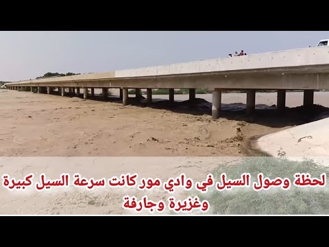 لحظة وصول سيل وادي مور سيول جارفة وغزيرة
