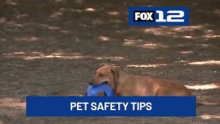 Oregon veterinarian offers pet safety tips ahead of potential heatwave