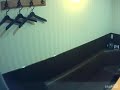 DELiGHTED MINT/休日の歌[Viva La Vida]【うたスキ動画】