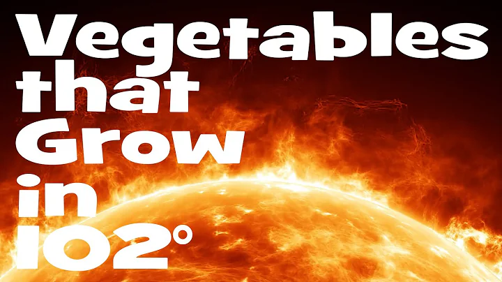 Vegetables that Grow in 100 Degree Summer Heat - DayDayNews