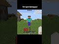 Minecraft meme #minecraft
