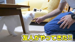 友人との再会！覚えていなくてまさかの塩対応…!?