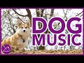 Dog Music: Soothing Sleep Sounds for Dogs - 12 Hours (RELAXING)