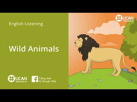 English Fluency LV1 Story 42 Wild Animals 