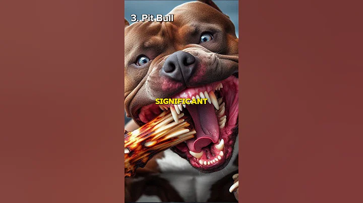 Watch the video about Top 10 Dog Breeds with STRONGEST BITE ***** #shorts #dog #viral