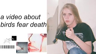 Download Lagu Birds Fear Death (underground fifth wave legend) MP3 Download Lagu Birds Fear Death (underground fifth wave legend) MP3