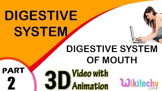 Digestive system of mouth Digestive System class 12 11 10 9 8 7 6 cbse neet exam tips preparation screenshot 2