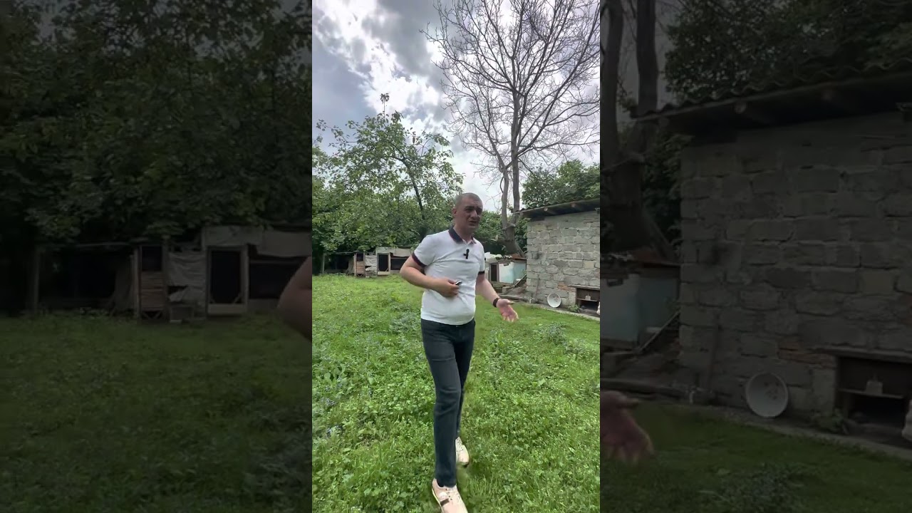 Balakənin Tülü kəndində ev satılır.