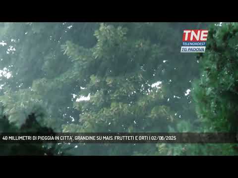 40 MILLIMETRI DI PIOGGIA IN CITTA', GRANDINE SU MAIS. FRUTTETI E ORTI | 02/08/2025