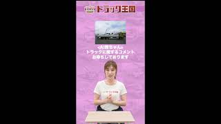トラックについてなんでも回答！AI熊ちゃんライブ配信！
