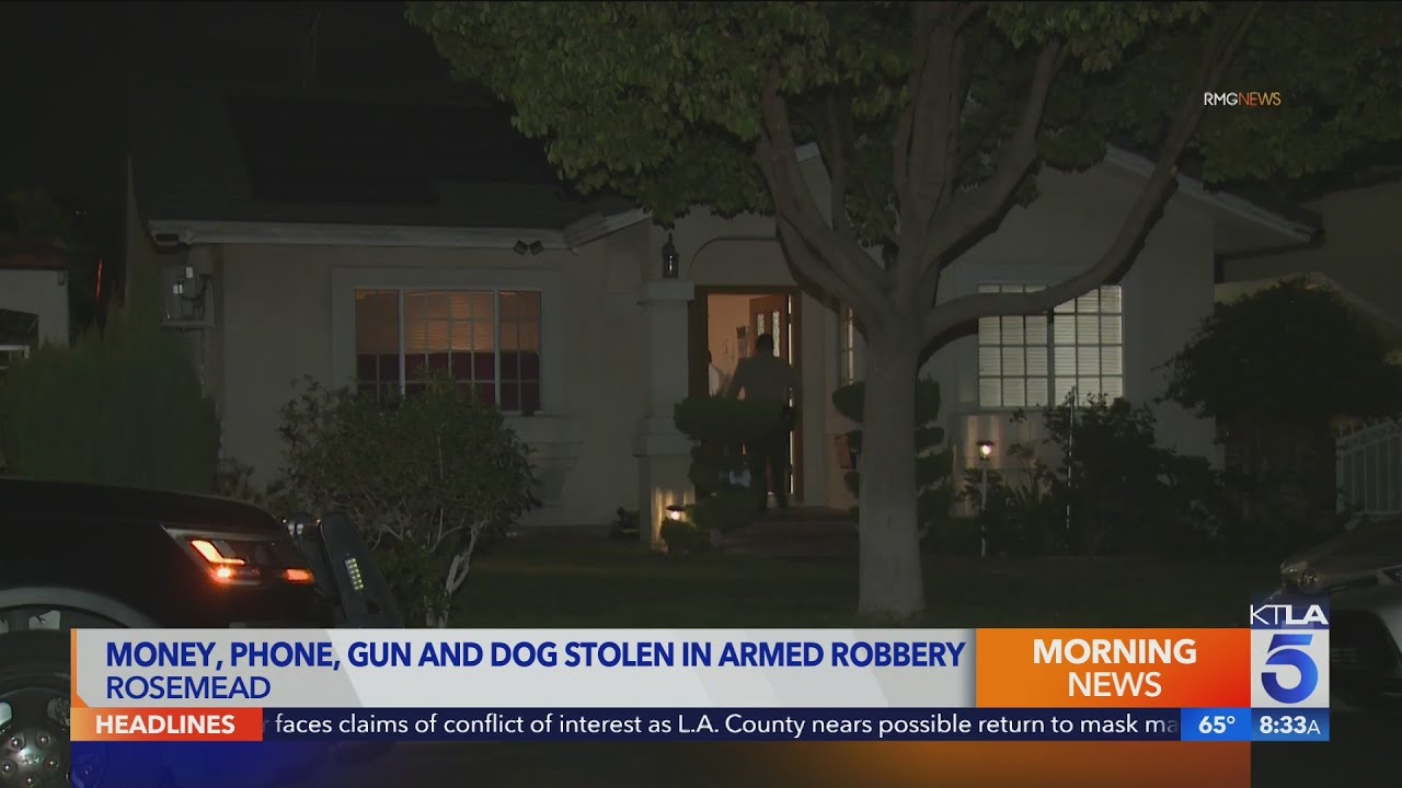 Cash, phone and dog taken in Rosemead home invasion YouTube
