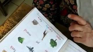 Ezbere Kitap Okuyan Yaşlı Kadın.çok Komi̇k