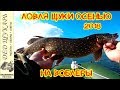 Ловля щуки осенью на воблеры 2018.