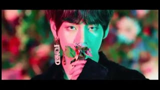 [ Kim Taehyung 김태형 ] FLOWER | FMV