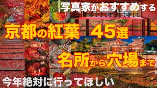 【4K】京都の写真家が選ぶ、京都の紅葉おすすめ47選【名所と穴場】