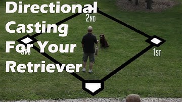 Teaching Your Retriever Directional Casting on Land