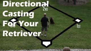 Teaching Your Retriever Directional Casting on Land