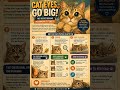 Why Do Cat Eyes Go Big? The Surprising Truth #CatEyes #CatFacts #CatBehavior