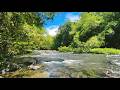 Gentle River Sounds ASMR 🌊 Pure Water Flow – No Rain No Music for Sleep & Relaxation