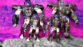 Show N Tell WTH - deluxe size Knock Off Optimus Primal  with comparison