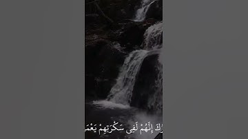 اول مقطع بعد غياب#سورة #الحجر#القارئ #هزاع_البلوشي #قران_كريم