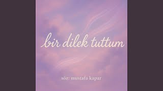 Bir Dilek Tuttum Resimi