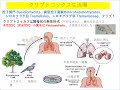 人獣8回対面鳥類獣保2021 edit