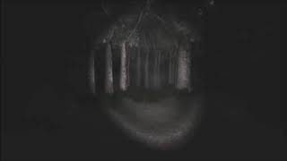 Slender: The Eight Pages Ambiance + Music (4 hours, no ads)