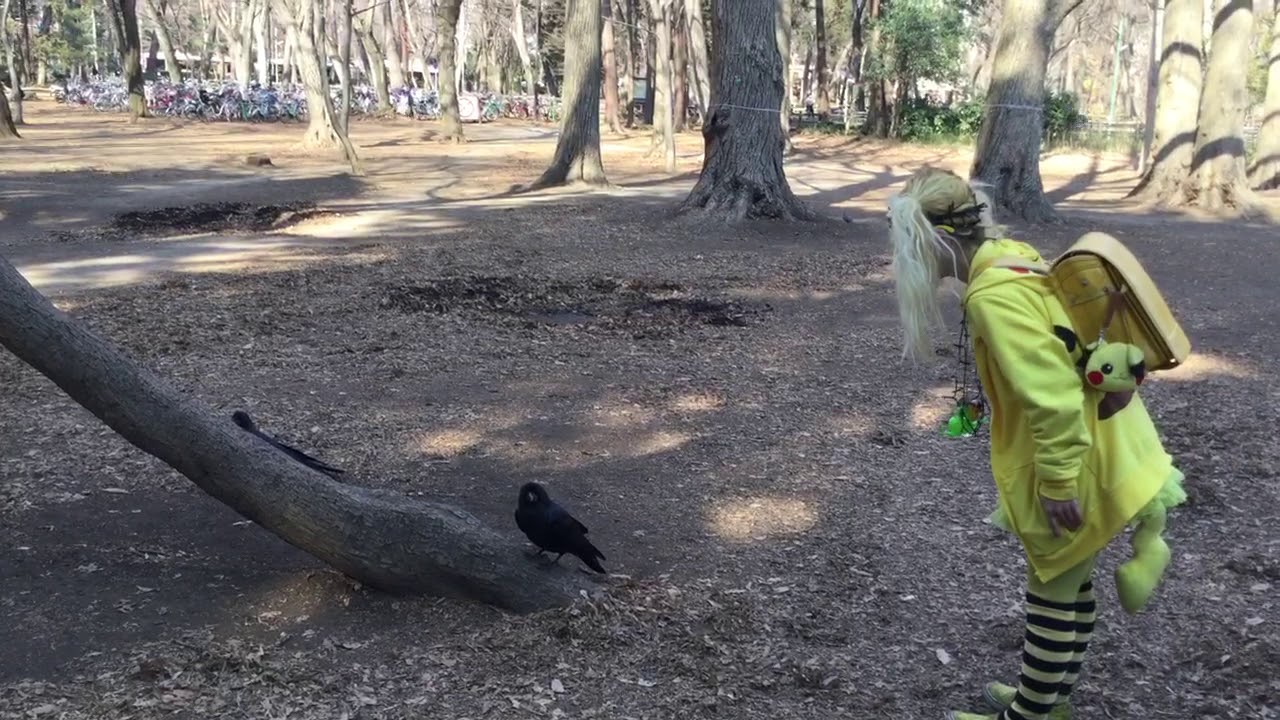 浜田雄馬 濱田雄馬 のユーチューブアドレスは 面白い ピカチュウに怒られるゾｗ