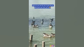 لا تترك أذكار الصباح والمساء ،فذكر انما الذكرى تنفع المؤمنين 👂👂#صلوا_على_النبي #اكسبلورر