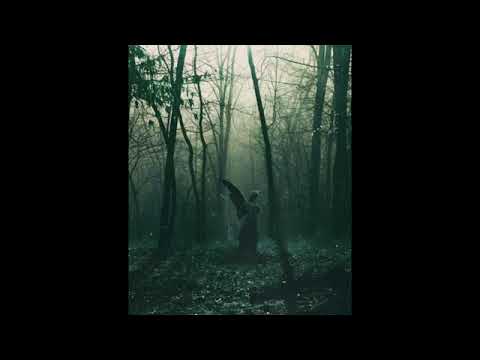 ნიკოლოზ წვიმა   'მშვიდად ღამდება'