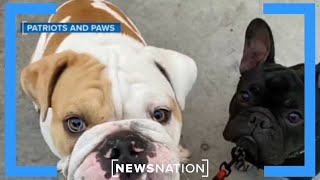 Vets get pets and all they need, thanks to this group | Morning in America