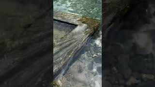 El Mamey Mecatan San Blas #pueblosyranchosdenayarit #pueblosmagicos #nayarit